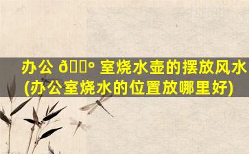 办公 🐺 室烧水壶的摆放风水(办公室烧水的位置放哪里好)